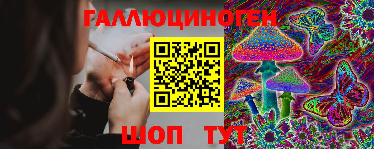 Псилоцибиновые грибы мицелий Тимашёвск